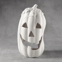 Load image into Gallery viewer, Pumpkins
