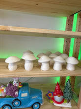 Load image into Gallery viewer, Mushrooms
