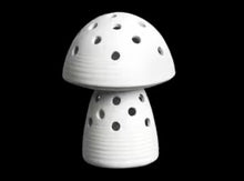 Load image into Gallery viewer, Mushrooms
