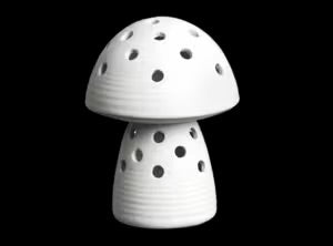 Mushrooms
