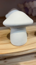 Load image into Gallery viewer, Mushrooms
