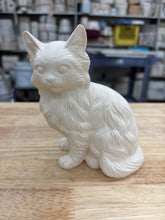 Load image into Gallery viewer, Kitties &amp; Cats
