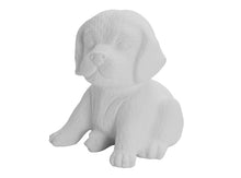 Load image into Gallery viewer, Dogs &amp; Puppies
