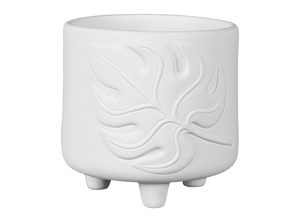 Monstera Container