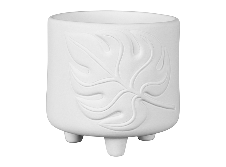 Monstera Container