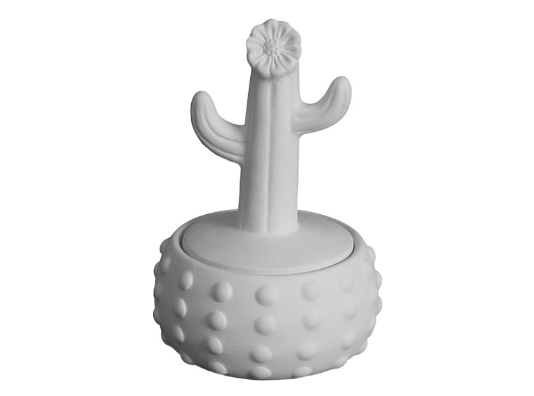 Floral Cactus Box