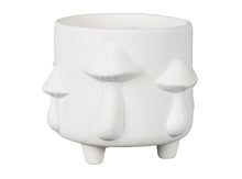 Load image into Gallery viewer, Mushroom Container

