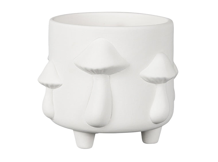Mushroom Container