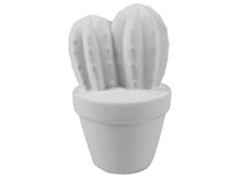 Load image into Gallery viewer, Cactus
