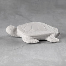 Load image into Gallery viewer, Turtles
