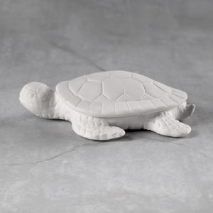 Turtles