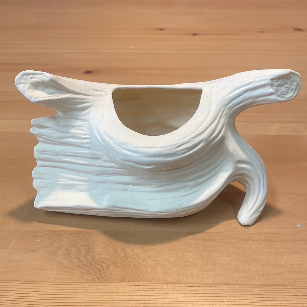 Driftwood planter