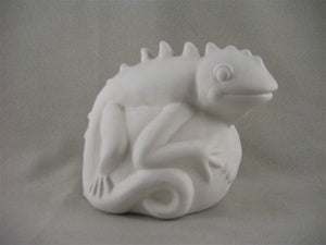 Iguana