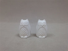 Load image into Gallery viewer, Owl S&amp;P Shakers
