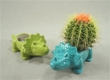 Load image into Gallery viewer, Dinosaur Planter
