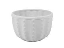 Load image into Gallery viewer, Cactus Bowls
