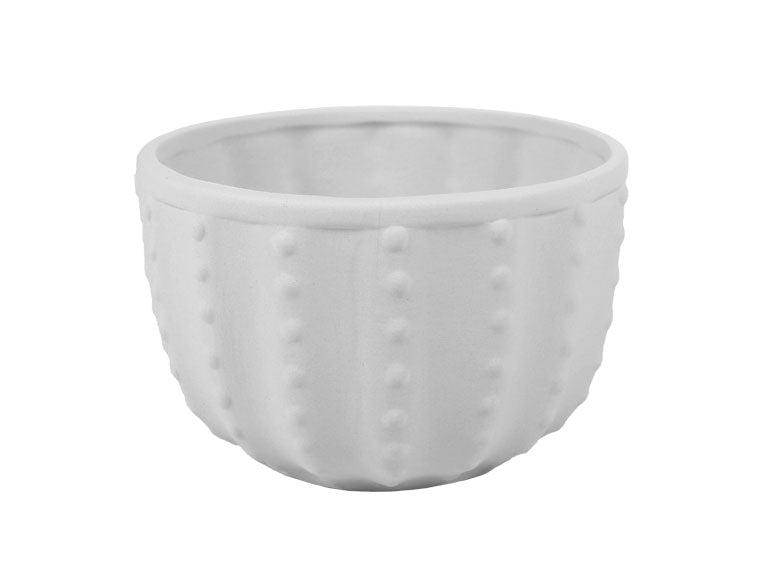 Cactus Bowls