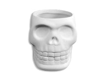 Load image into Gallery viewer, Skull Shot Glass
