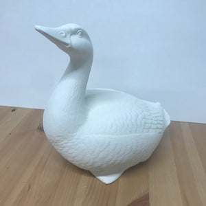 Ducks