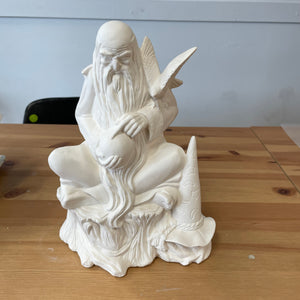 Wizard with Bird