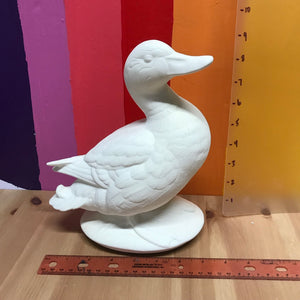 Ducks