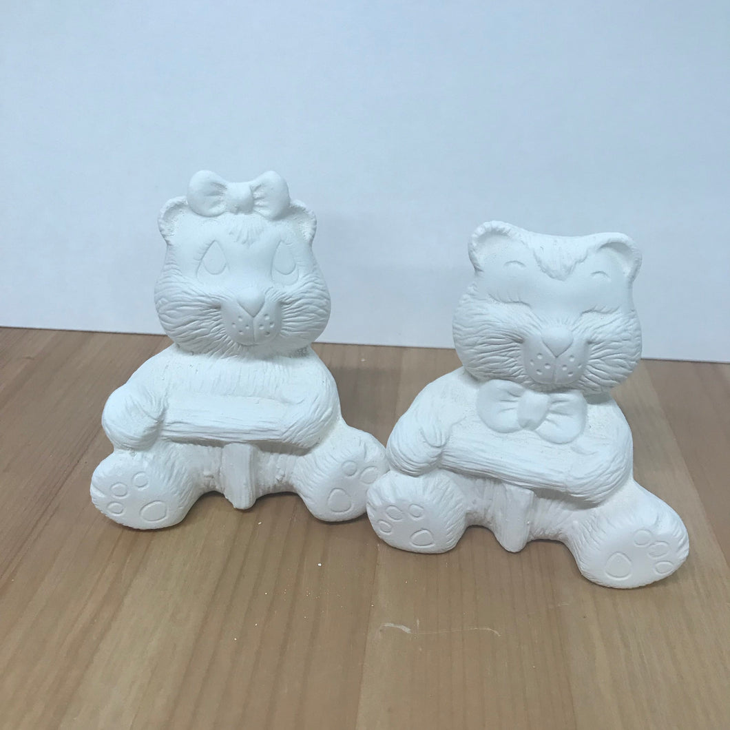 Bear Pair