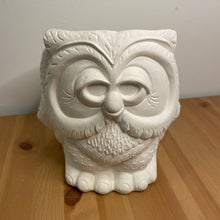 Load image into Gallery viewer, Big Ol' Owl Planter
