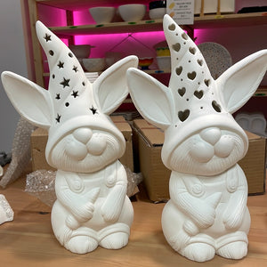 Lighted Bunnies