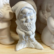 Load image into Gallery viewer, Gnome Miscellany
