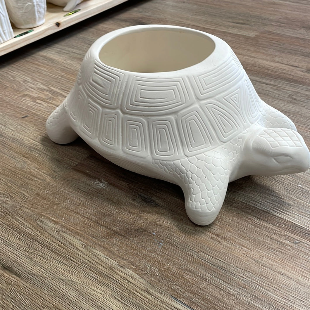 Turtle Planter