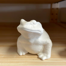 Load image into Gallery viewer, Arnels Frogs
