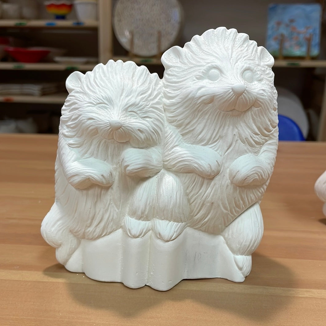 Hedgehogs