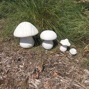 Mushrooms